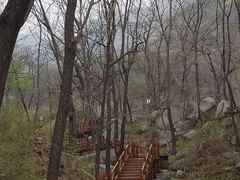 -大岭沟猕猴桃谷风景区