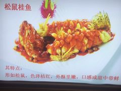 -南京金牛湖巨碗鱼头
