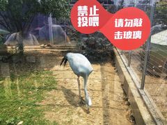 -无锡动物园·太湖欢乐园