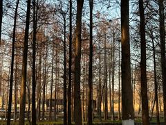 -西溪国家湿地公园