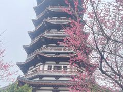 -洋湖国家湿地公园