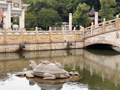 -阳台山森林公园