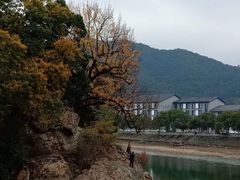 -蒋氏故居