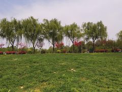 -洨河生态公园