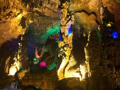 -黔府豆米火锅野菜馆(南马店)