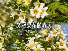 -郑州植物园