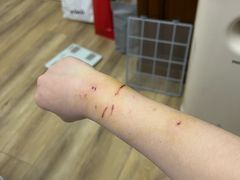 -上海市嘉定区中医医院