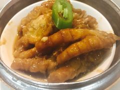 -糖朝(尖沙咀店)