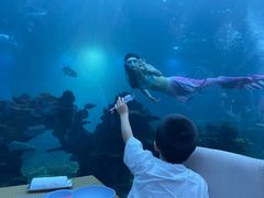 -海棠湾洲际-涛·海底餐厅·美人鱼·自助餐·海底隧道