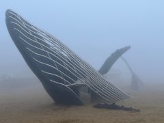 -烟台金沙滩海滨公园