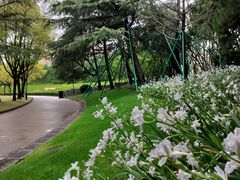 -上海市龙华烈士陵园