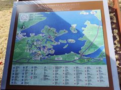 -广州市流溪河国家森林公园