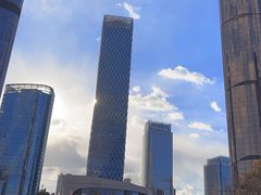 -大望京公园