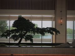 -上海佘山世茂艾美酒店