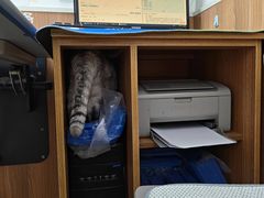 -宠福鑫动物医院·动物疾病诊疗中心(天通苑店)