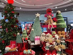 -DFS迪斐世(香港广东道店)
