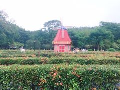-东莞植物园