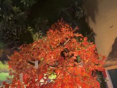 -木子塘汗蒸生活馆(财富港店)