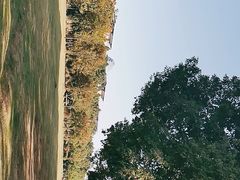 -艾溪湖湿地公园