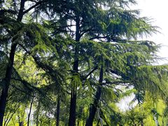 -西安市长乐公园