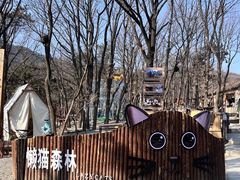 -沂蒙山旅游区云蒙景区(蒙山国家森林公园)