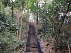 -杭州半山国家森林公园