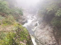 -陕西省红河谷森林公园
