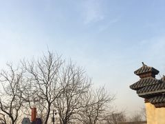 -御林古桑园