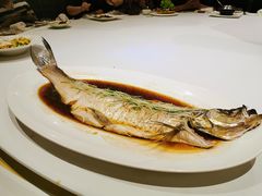 大白鱼-赵记老铺(市府恒隆广场店)