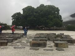 -绿色墨脱石锅城