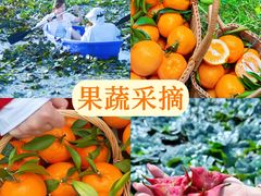 -阳澄湖半岛旅游度假区