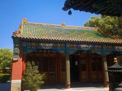-药王庙(安国市)