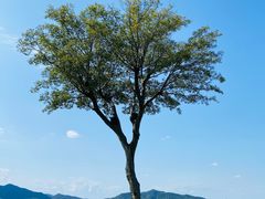 -东钱湖旅游度假区