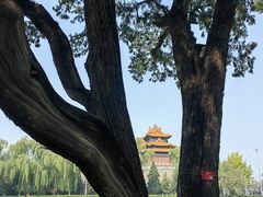 -北京市劳动人民文化宫(太庙)