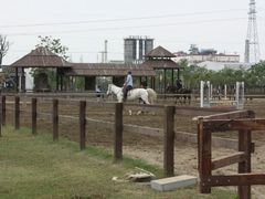 android_upload_pic-松声马术俱乐部