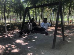 -西青郊野公园