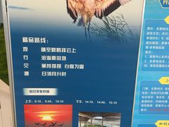 -盐城丹顶鹤湿地生态旅游区