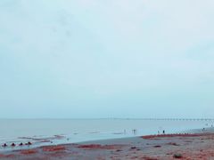 -南汇嘴观海公园