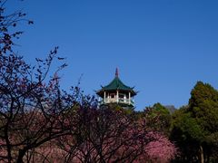 -无锡梅园公园