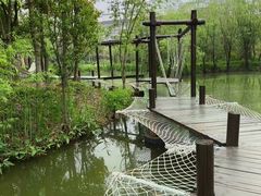 -长田漾湿地公园