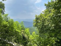 -莫干山风景区