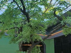 -亳府大院(亳州店)