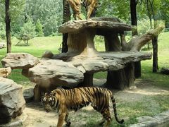 -北京野生动物园