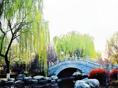 -西安青龙寺遗址景区