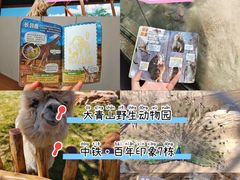 -大青山野生动物园