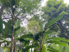 -成都杜甫草堂博物馆