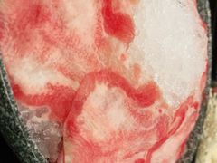 -熹悟海鲜火锅·广式打边炉
