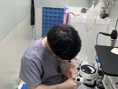 -达爱动物医院·犬猫分区·CT·复杂眼科(远洋山水分院)