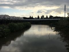 -马陆小张葡萄园农家乐