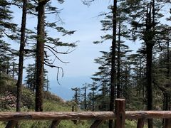 -瓦屋山景区